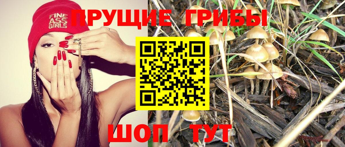 где можно купить наркотик  Вход с VPN  Коломна  Псилоцибиновые грибы Magic Shrooms 