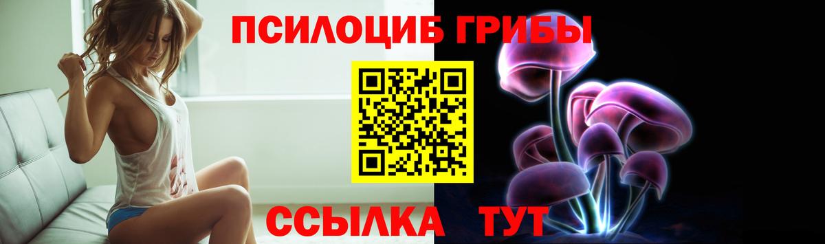 Галлюциногенные грибы Cubensis Коломна